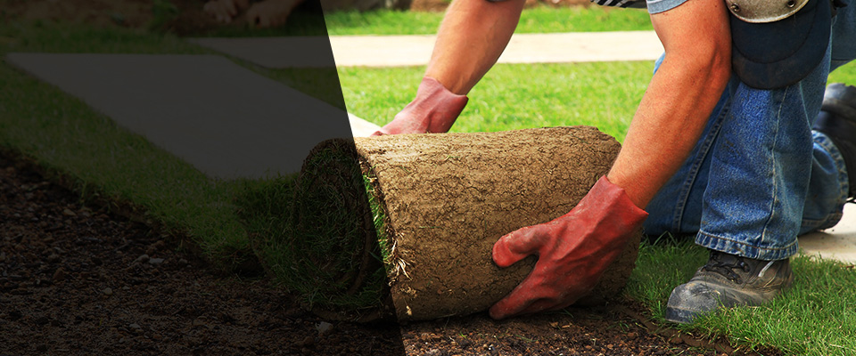 Goose Creek Landscapers